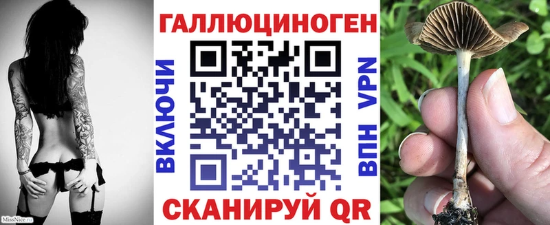 Галлюциногенные грибы Cubensis Шебекино